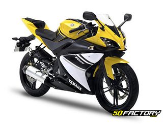 YAMAHA YZF-R 125 from 2008 to 2013